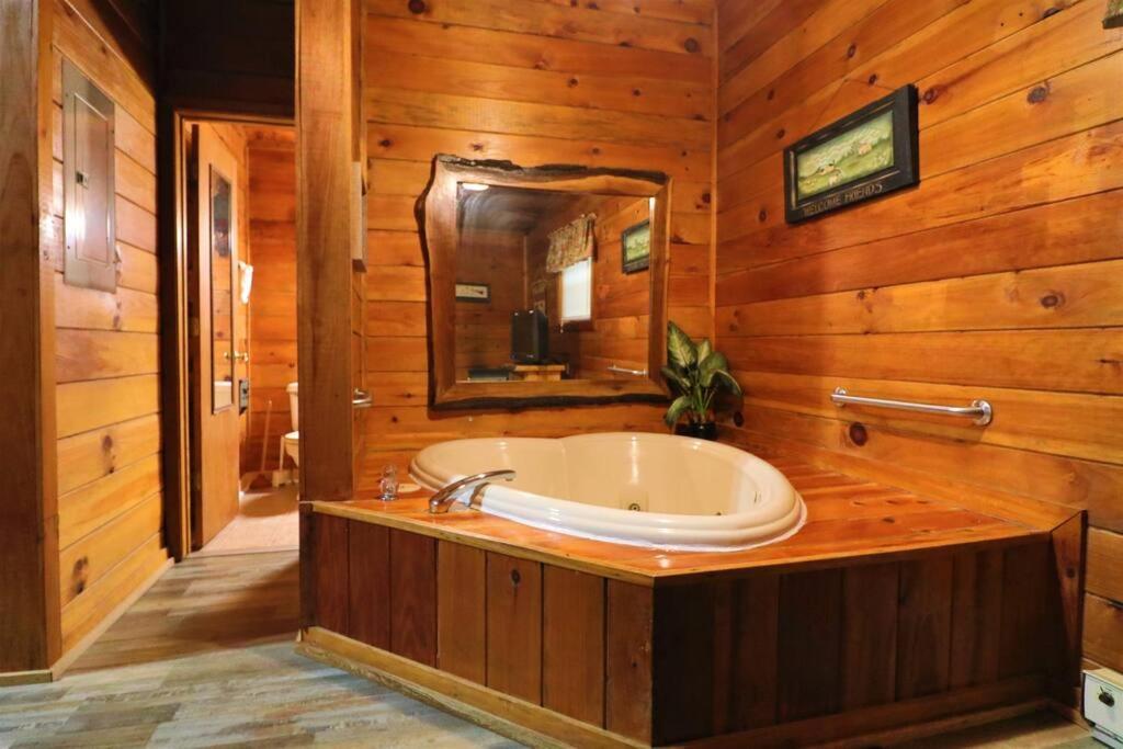 Alpine Mountain Sweetheart Cabin Jacuzzi #6 Helen Exteriér fotografie