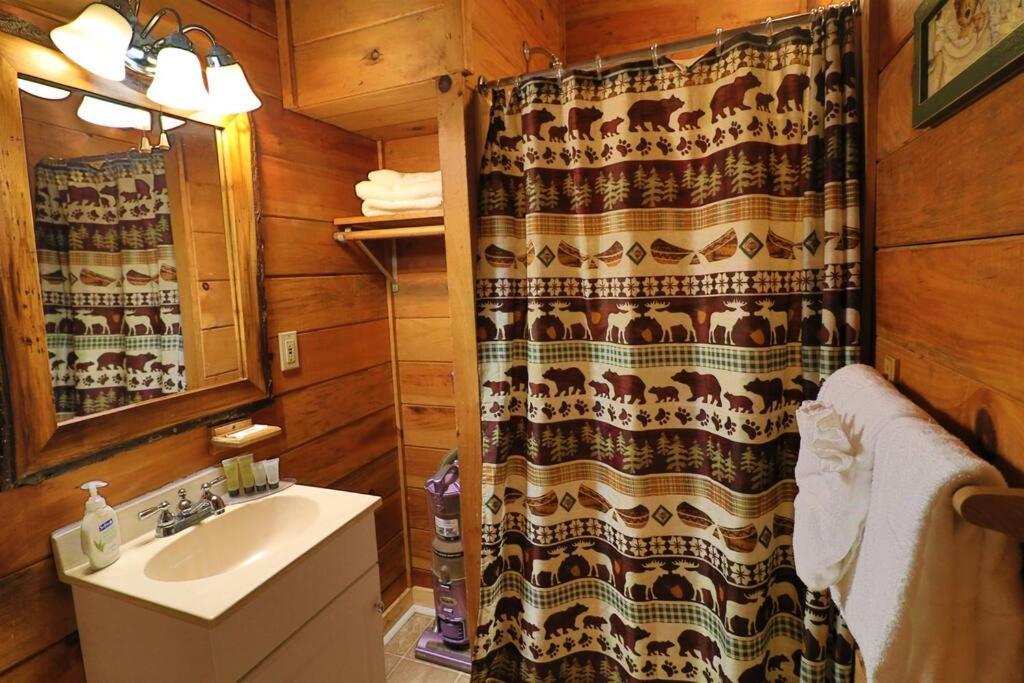 Alpine Mountain Sweetheart Cabin Jacuzzi #6 Helen Exteriér fotografie
